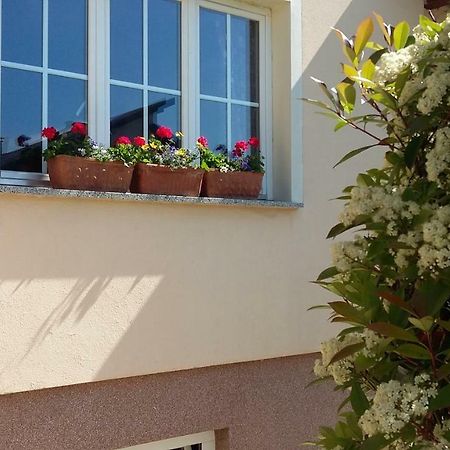 Apartments Place4You Bjelovar Εξωτερικό φωτογραφία