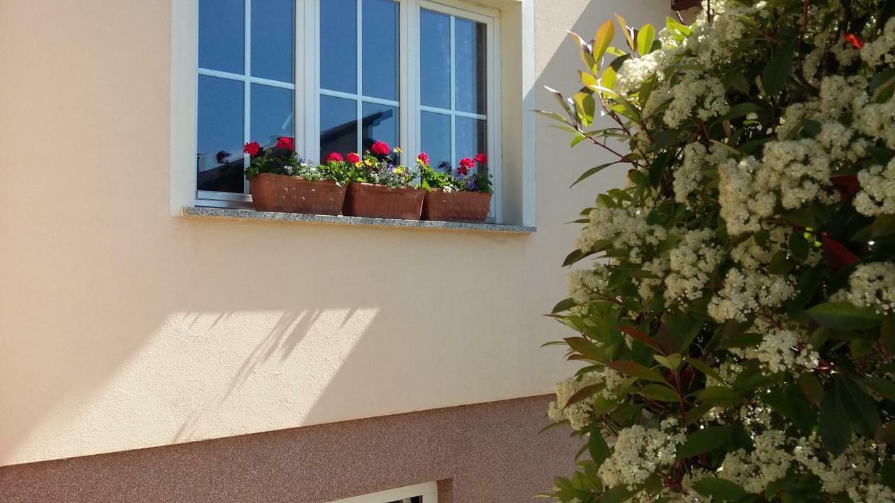 Apartments Place4You Bjelovar Εξωτερικό φωτογραφία